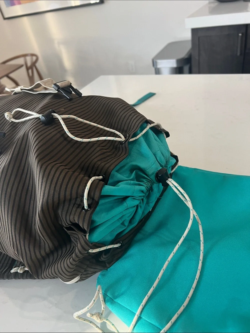 Burton Teal and Brown Striped Roll-Top Backpack